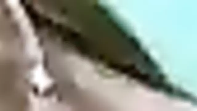 Güzel Özbek kız, kocasının aletini yavaşça emiyor.